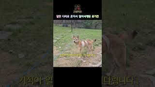 절단된 다리로 살게됐지만 아무런 문제는 없습니다.