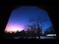 Telomic - Undone