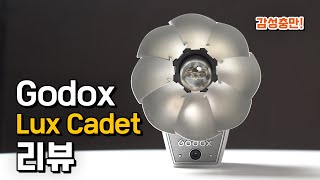 감성과 성능을 다 갖춘 플래시? 카메라에 꽃이 피었다! Godox Lux Cadet 리뷰 #luxcadet #flash #레트로