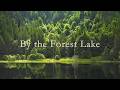 By the Forest Lake | Soft Piano for Deep Rest, Quiet Sleep & Gentle Focus