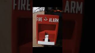 System Test 3 Epilepsy Warning #fypシ
