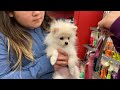 BUYING MY DOG EVERYTHING SHE TOUCHES!!!