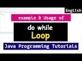 DO WHILE Loop in Java Programming - Video Tutorials For Beginners