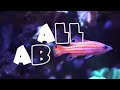 Top 5 Fish for 120 Gallon Saltwater Tank
