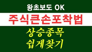 주식큰손포착법 - 상승종목 쉽게찾기 / 마이웨이스탁 02)508-3860