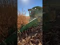 harvesting corn in south dakota harvest