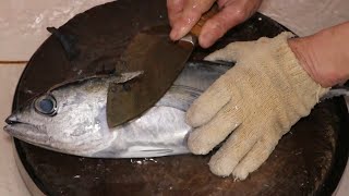 船釣黃鰭鮪生魚片切割刀工 - 台灣碧砂漁港 / boat fishing yellofin tuna sashimi cutting skills - taiwan fishing port