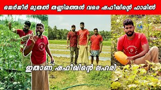 ഇവിടം സ്വർഗ്ഗമാണ് | Jarjeer മുതൽ സൂര്യകാന്തി വരെ | Siyotechtravel