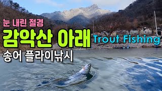 Third week of December, 2023, Sinnam trout fishing place 🐬 Trout fly fishing