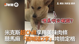 米克斯超Chill享用美味肉條 聽馬麻「甜喊這2字」垮臉定格