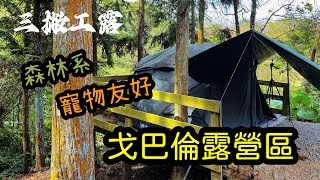 戈巴倫露營區｜森林｜寵物友好｜森林棧板｜廁所超乾淨｜東北季風｜風吹到流鼻水｜萬聖節｜新竹五峰｜第77露｜2024/10/22