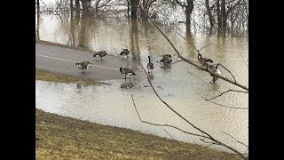 Winton Lake reopens to boating and fishing