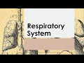 Basic Anatomy & Physiology 15 | RESPIRATORY SYSTEM   Reference   Seeley's