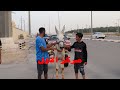 سباق الحمير في الاحساء