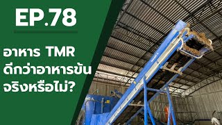 EP.78 อาหาร TMR ดีกว่าอาหารข้น จริงหรือ?? #อาหารTMR