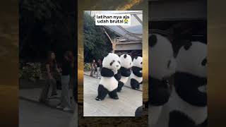 Latihan nya aja udah brutal😭 #videolucu #memes #panda #funny