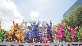 [4K] 愛知淑徳大学 鳴踊　どまつり 2018　本祭1日目