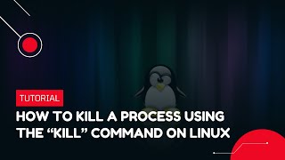 How to kill a process using the "kill" command on Linux | VPS Tutorial