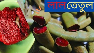 বিস্ময়কর টকটকে লাল তেতুল| Amazing Redish Tamarind|