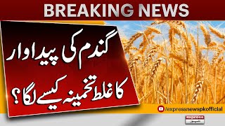 Gandum Ki Paidawar Ka ghalat Takhmina Kesay Laga | Wheat Procurement  | Pakistan News | Latest News