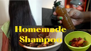 DIY ANTI-HAIRFALL SHAMPOO  | Homemade Hibiscus shampoo | Stop Hair Fall  #stophairfall #haircare