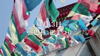 チベット仏教寺院強巴林CM　ver.2