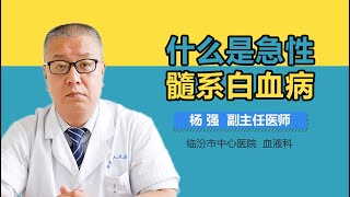 什么是急性髓系白血病 有来医生