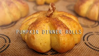 SOFT Pumpkin Dinner Rolls Recipe
