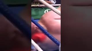Crazy Butterbean Knockout