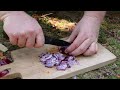 esbit outdoor cooking die revolution der outdoor küche 🔥 unterwegs vollwertige gerichte kochen 🍽️