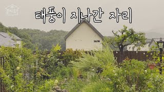 EP 104. | 태풍이 지나간 자리 | 가드닝 | gardening