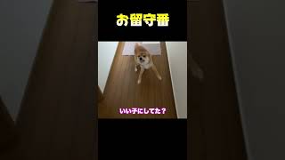 お留守番いい子にしてた？