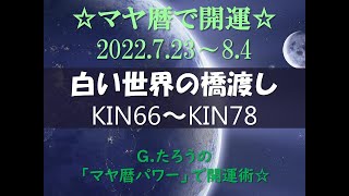 マヤ暦で開運！《白い世界の橋渡し》の１３日間　Kin66~Kin78