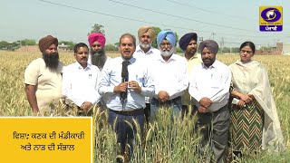 Mera Pind Mere Khet | ਕਣਕ ਦੀ ਮੰਡੀਕਾਰੀ ਅਤੇ ਨਾੜ ਦੀ ਸੰਭਾਲ | 08 April 2024 | DD Punjabi