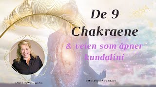 De 9 Chakraene og veien som åpner kundalini