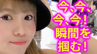 《ハッピーちゃん》神回 今、今、今、今！瞬間を掴む！