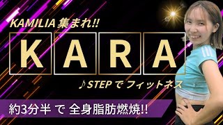 【KAMILIA必見!】KARAのSTEPに合わせて全身痩せエクササイズ！楽しく体を動かして脂肪を燃やそう！【KARA - STEP】