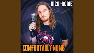 Comfortably Numb (feat. Aisles)