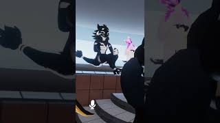 What are some common misconceptions about furries?