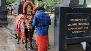 ഓച്ചിറ നന്ദികേശൻ(ഓച്ചിറ കാള)|Oachira parabrahma temple HD