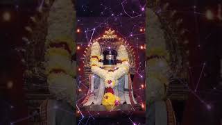 எங்கும் சிவாய எதிலும் சிவாய Status #சிவாய #sivan #shivan #siva #shiva #sivaya #namasivaya #god #சிவ