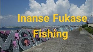 Inanse Fukase Fishing #フカセ釣り #打ち込み釣り #沖縄釣り #釣り