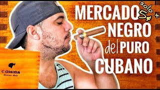 👉🏼 TABACOS EN CUBA | LOS PUROS CUBANOS 🇨🇺 | Ahorra Con Estos Consejos