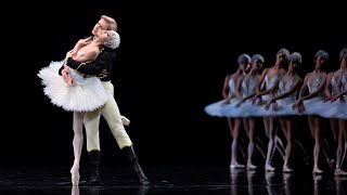 Musicians' Insights: Cordula Merks on Swan Lake