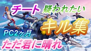 【ただ君に晴れ】PC２ヶ月/チート疑われたい人のキル集 2019【PC版フォートナイト】