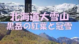 日本一早い紅葉を見るため、北海道大雪山の黒岳に登ったところ、山頂は冬景色でした（2023年10月11日）