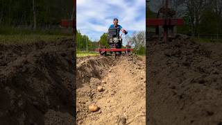 Sázíme BRAMBORY, 🥔 Kultivátor samozřejmě v akci 💪 #farming #village #homestead #potatoes  #machine