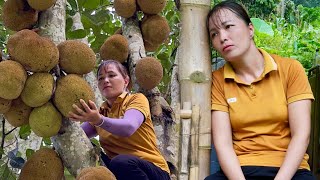 320 Days Harvest: Bamboo Shoots, Jackfruit, Pineapple, Vegetables - Xuan and Hien Farm Life