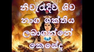 නිවැරැදිව ශිව නාග ශක්තිය ලබාගන්නේ කෙසේද  ~~ විශ්ව ශක්ති දහම් ~[  164 ]