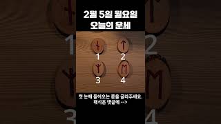 [#타로점/#룬점]  2월 5일 월요일 #오늘의운세 입니다.